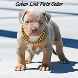 Thick Gold Chain Pets Safety Collar
