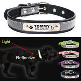 Custom Pet Collars ID Tag For Dogs